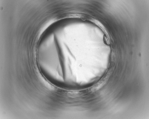 X0000088130859200705291331