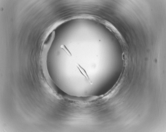 X0000088130860200705291331