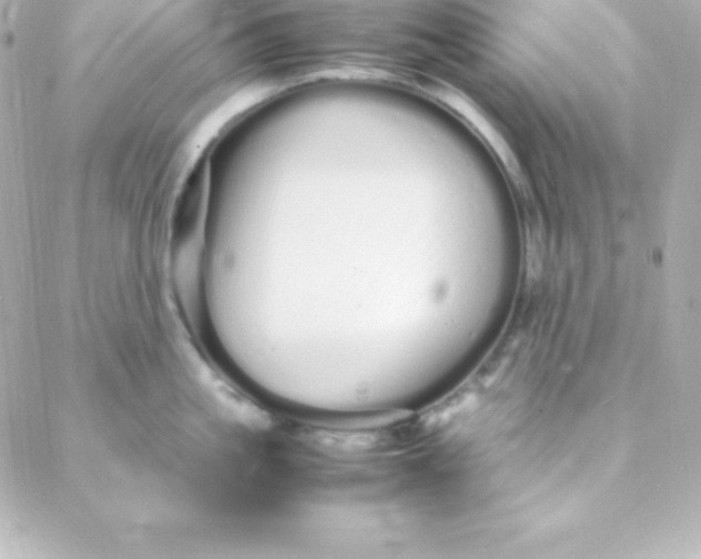 X0000088130861200705291331