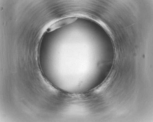 X0000088130862200705291331