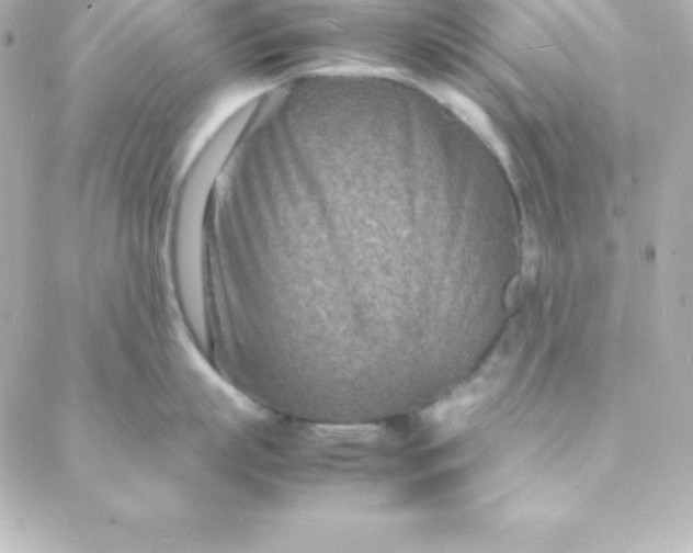 X0000088130863200705291331