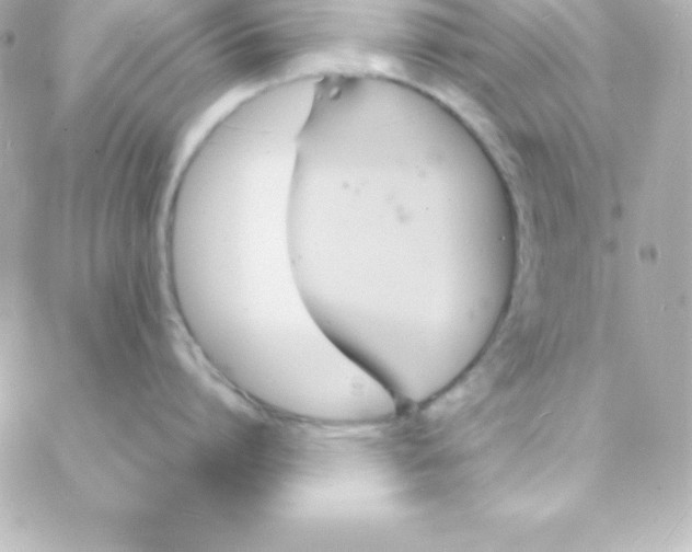 X0000088130864200705291331