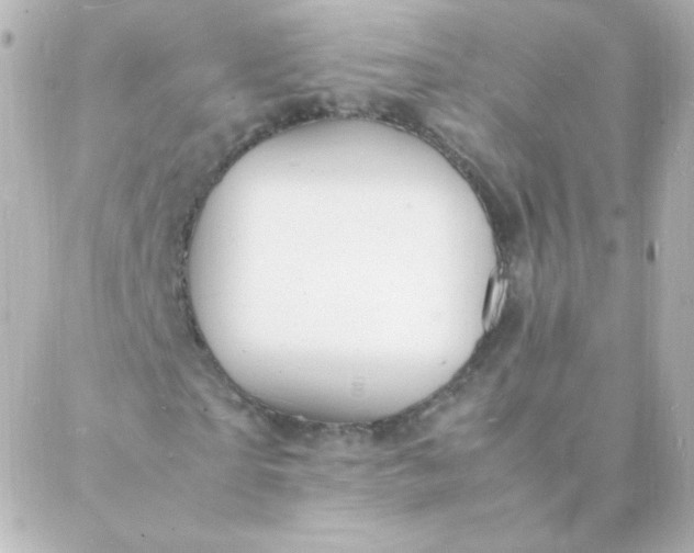 X0000088130865200705291330