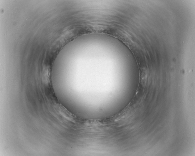 X0000088130866200705291330