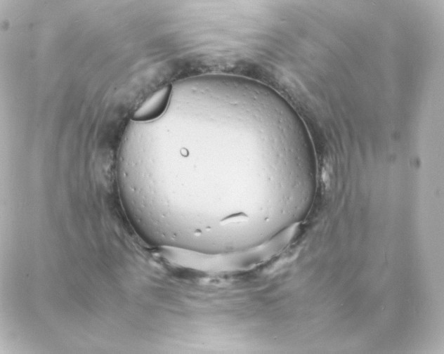 X0000088130867200705291330