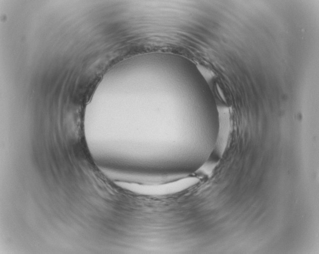 X0000088130868200705291330