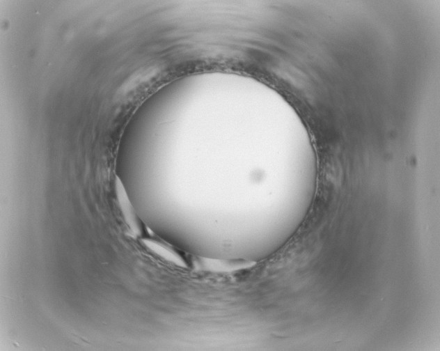 X0000088130869200705291330