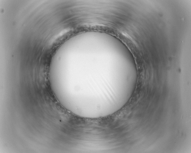 X0000088130870200705291330