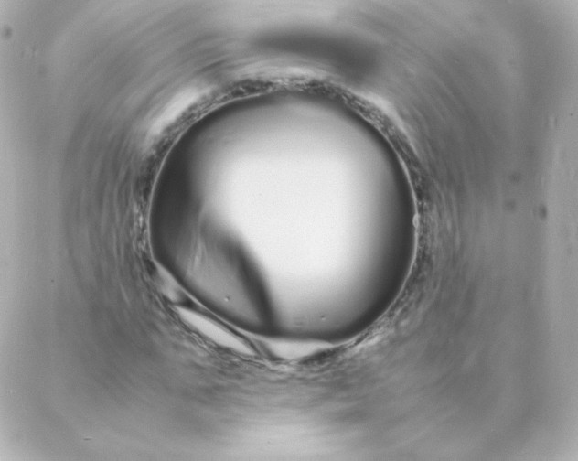 X0000088130871200705291330