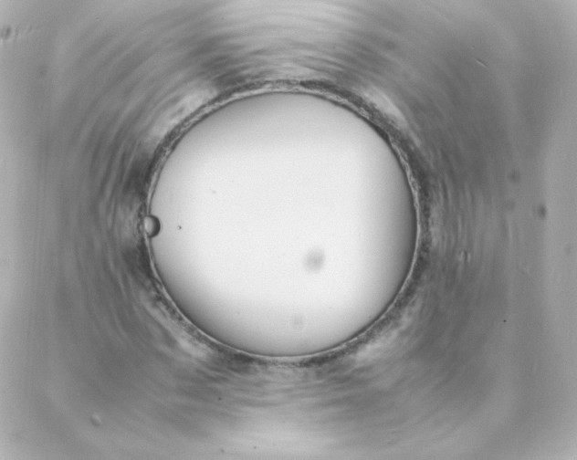 X0000088130873200705291330