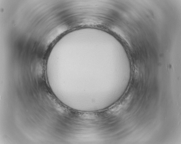 X0000088130874200705291330