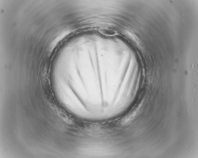 X0000088130875200705291330