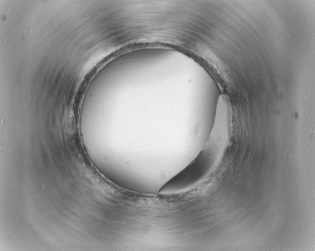 X0000088130876200705291330