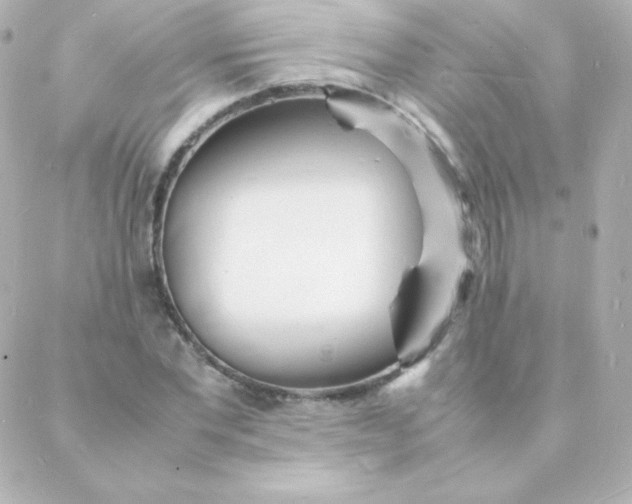 X0000088130877200705291330