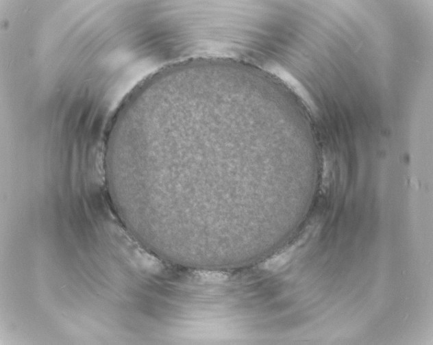 X0000088130878200705291330