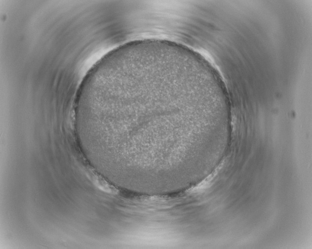 X0000088130879200705291330