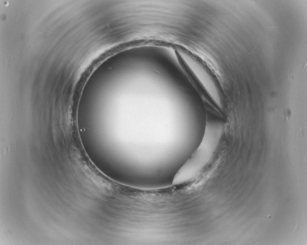 X0000088130880200705291330