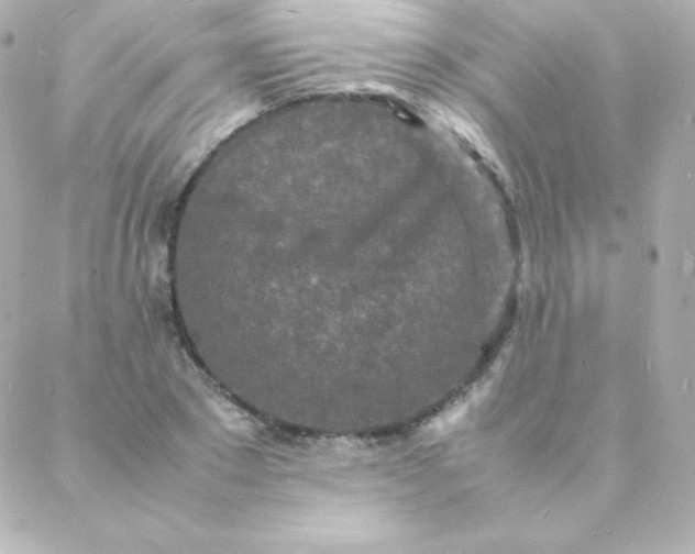 X0000088130881200705291330