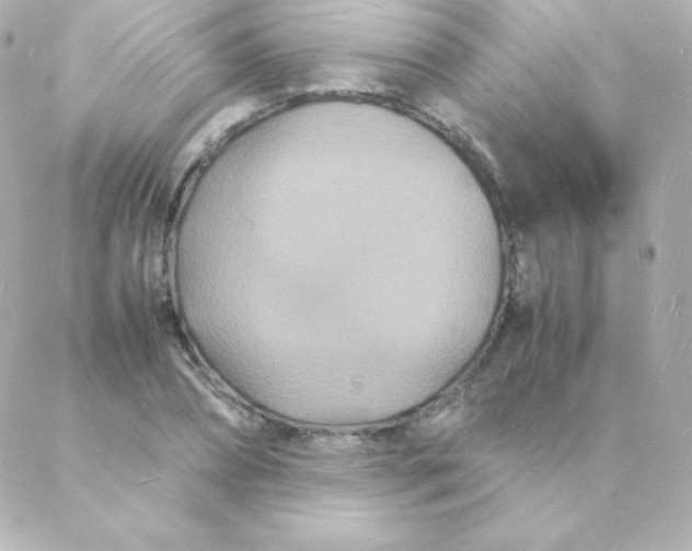 X0000088130882200705291330