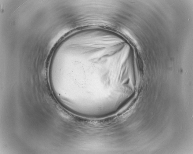 X0000088130883200705291330