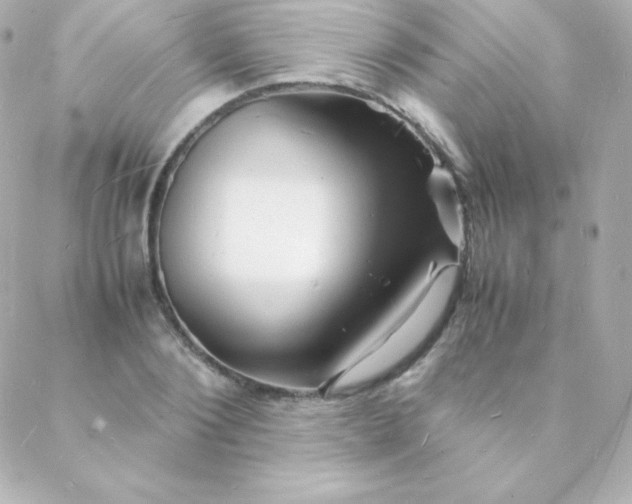 X0000088130884200705291330