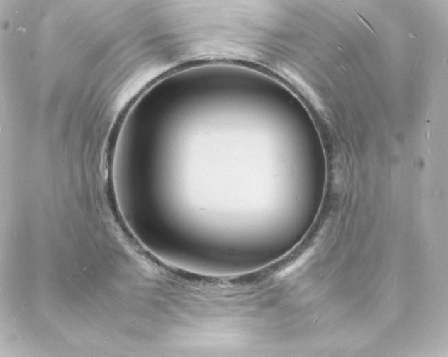 X0000088130885200705291330