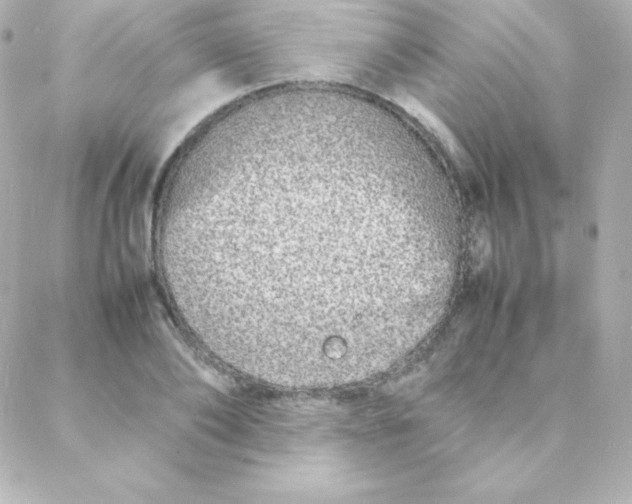 X0000088130886200705291330