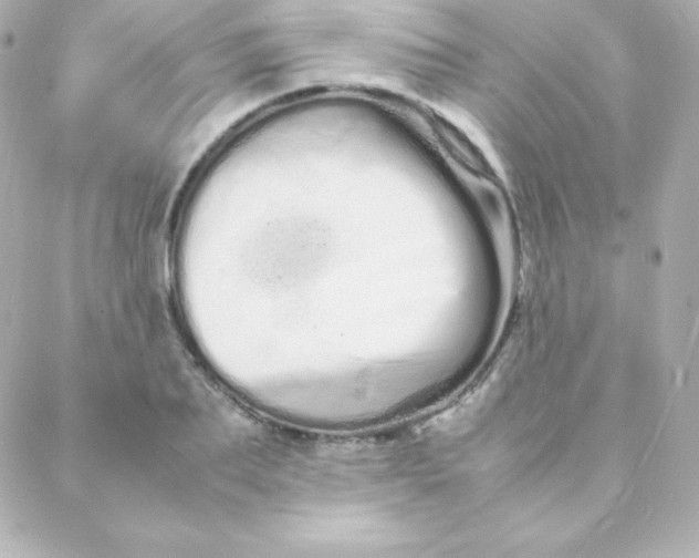 X0000088130887200705291330