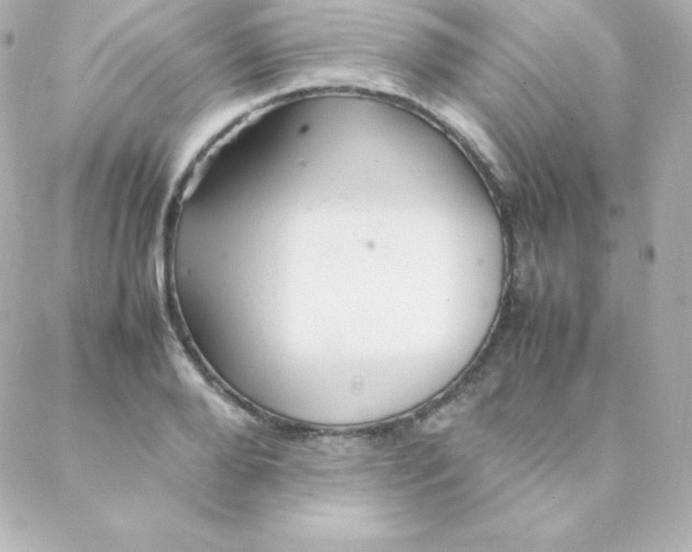 X0000088130888200705291330