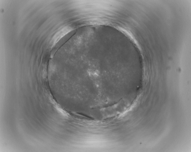 X0000088130889200705291330