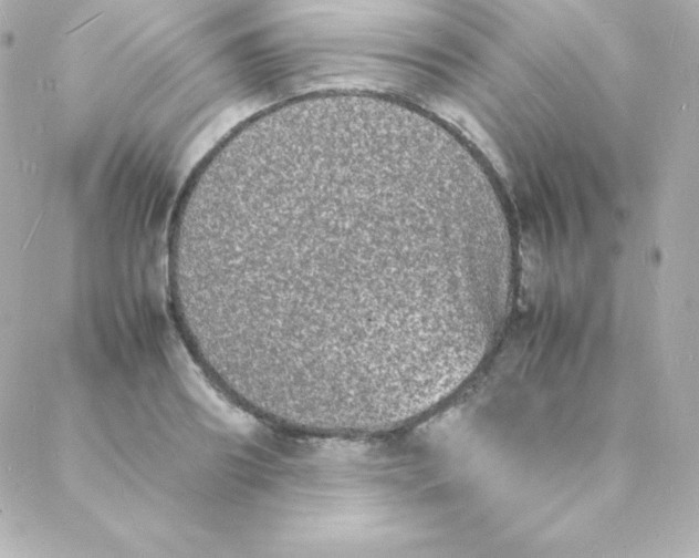 X0000088130890200705291330