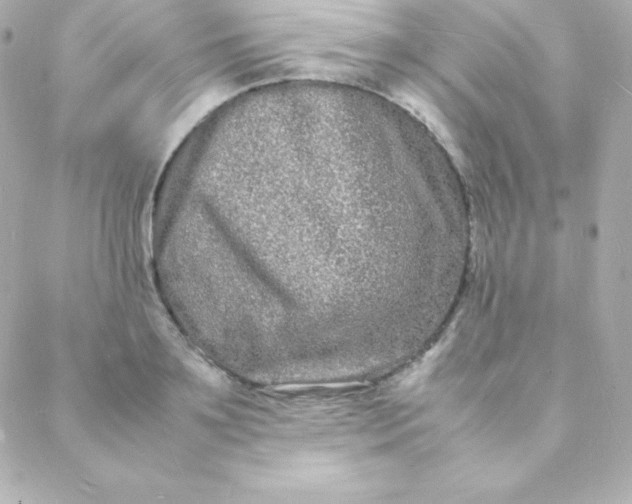 X0000088130891200705291330