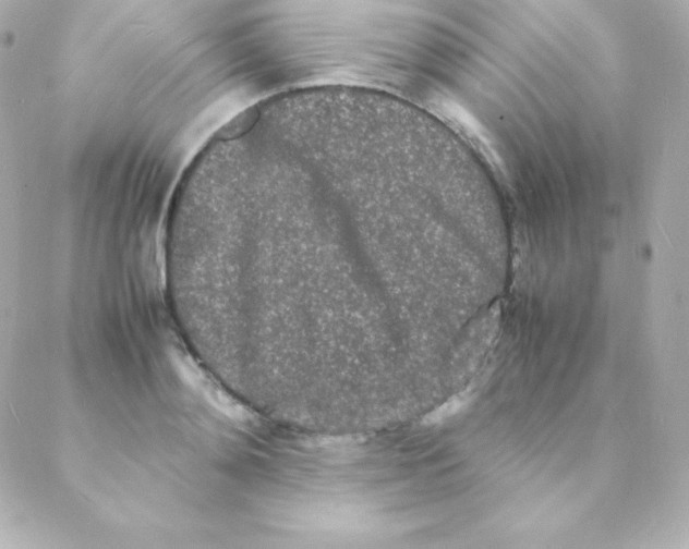 X0000088130892200705291330