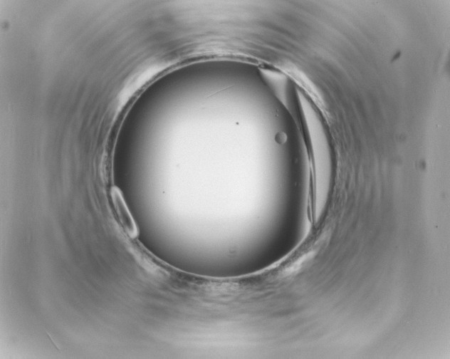 X0000088130893200705291330