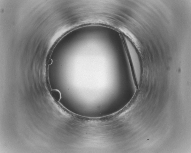 X0000088130894200705291330