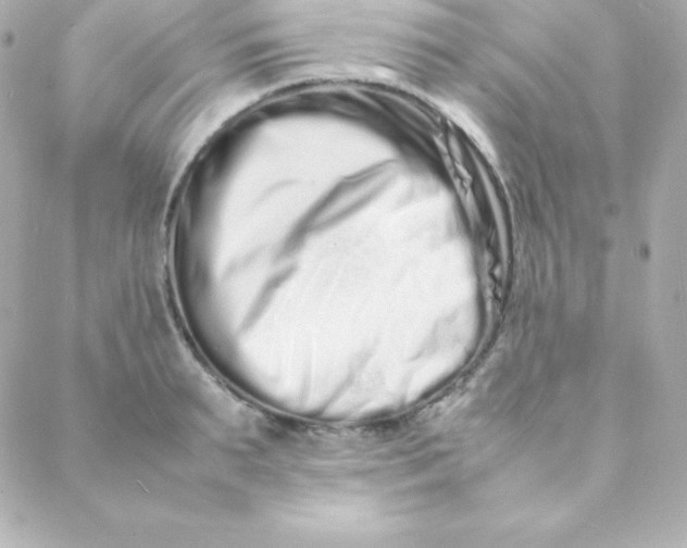 X0000088130895200705291330