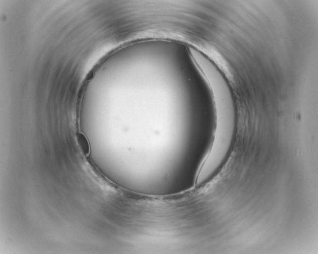 X0000088130896200705291330