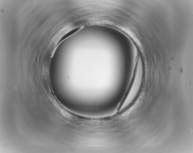 X0000088130897200705291330