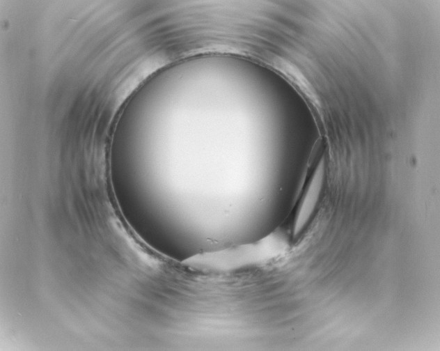 X0000088130898200705291330