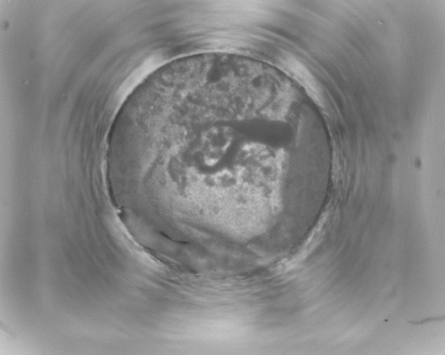 X0000088130899200705291330