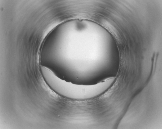 X0000088130900200705291330