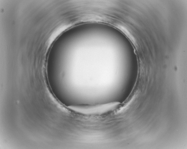 X0000088130901200705291330