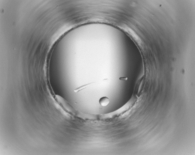 X0000088130902200705291330