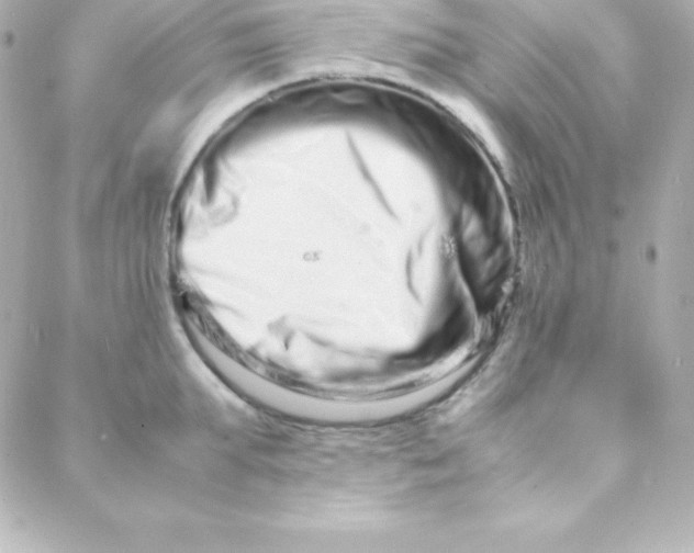 X0000088130903200705291330