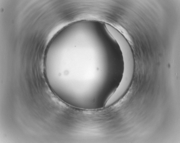 X0000088130904200705291330