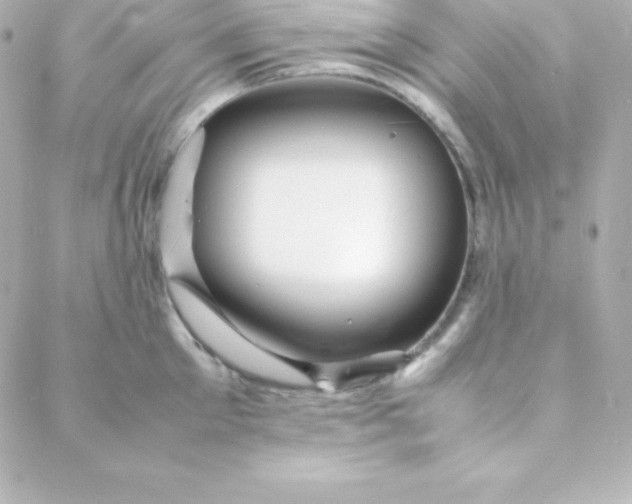 X0000088130905200705291330