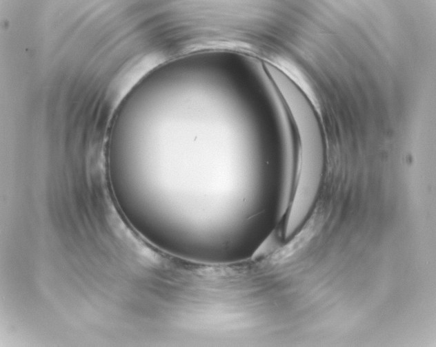 X0000088130906200705291330