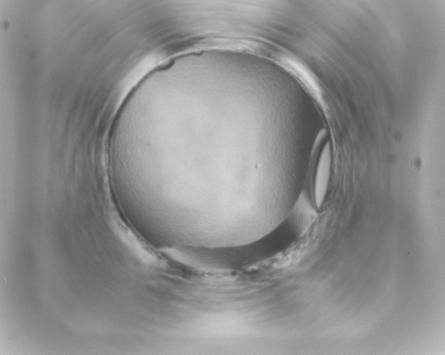 X0000088130907200705291330