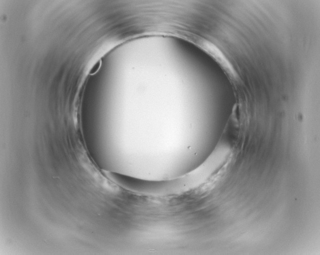 X0000088130908200705291330