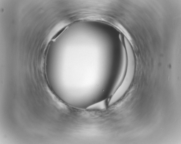 X0000088130909200705291330